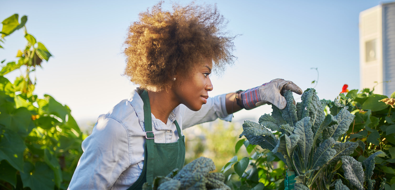 Mature black woman gardening with healthy mindset